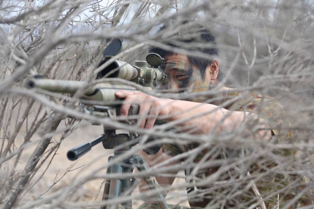 A soldier from the Japan Ground Self-Defense Force uses bushes and branches as camouflage for his shooting position during Exercise Iron Fist 2014 aboard Camp Pendleton, Calif., Feb. 10, 2014. Iron Fist is an amphibious exercise that brings together Marines and sailors from the 15th Marine Expeditionary Unit, other I Marine Expeditionary Force units, and soldiers from the JGSDF, to promote military interoperability and hone individual and small-unit skills through challenging, complex and realistic training. 