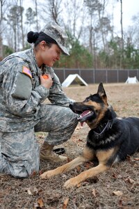 U.S. Army Spc. Roxanne Cavezuela, 3rd Military Police Detachment military working dog handler, conducts obedience training with MWD Chek, a patrol explosives detector dog also assigned to the 3rd MP Det., at Fort Eustis, Va., Feb. 4, 2014.  Cavezuela has been in the Army for a year and a half, and views her relationship with Chek as not only a partnership, but also as family. Cavezuela is a native of Morton, Texas. (U.S. Air Force photo by Staff Sgt. Katie Gar Ward/Released)