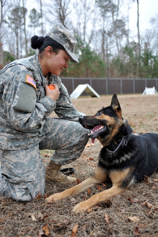 U.S. Army Spc. Roxanne Cavezuela, 3rd Military Police Detachment military working dog handler, conducts obedience training with MWD Chek, a patrol explosives detector dog also assigned to the 3rd MP Det., at Fort Eustis, Va., Feb. 4, 2014.  Cavezuela has been in the Army for a year and a half, and views her relationship with Chek as not only a partnership, but also as family. Cavezuela is a native of Morton, Texas. (U.S. Air Force photo by Staff Sgt. Katie Gar Ward/Released)