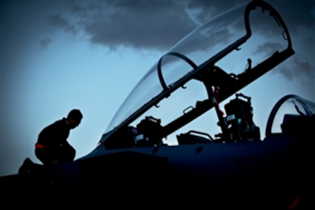 Air Force Senior Airman Aljon Alfonso performs preflight checks before his assigned aircraft goes on a night training mission during Red Flag 14-1 on Nellis Air Force Base, Nev., Jan. 30, 2014. Alfonso is a crew chief assigned to the the 366th Aircraft Maintenance Squadron based on Mountain Home Air Force Base, Idaho. Night missions have been integrated into Red Flag to prepare pilots and aircrews for missions in low-light environments.