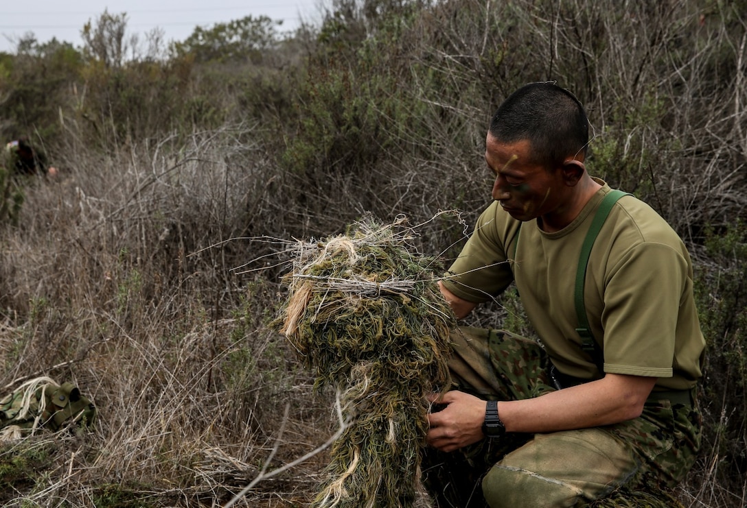 A soldier from the Japan Ground Self-Defense Force uses vegetation to camouflage his ghillie suit while conducting a stalk exercise with 1st Marine Division Schools during Exercise Iron Fist 2014 aboard Camp Pendleton, Calif., Feb. 11, 2014. Iron Fist is an amphibious exercise that brings together Marines and sailors from the 15th Marine Expeditionary Unit, other I Marine Expeditionary Force units, and soldiers from the JGSDF, to promote military interoperability and hone individual and small-unit skills through challenging, complex and realistic training. (U.S. Marine Corps photo by Cpl. Emmanuel Ramos/Released)
