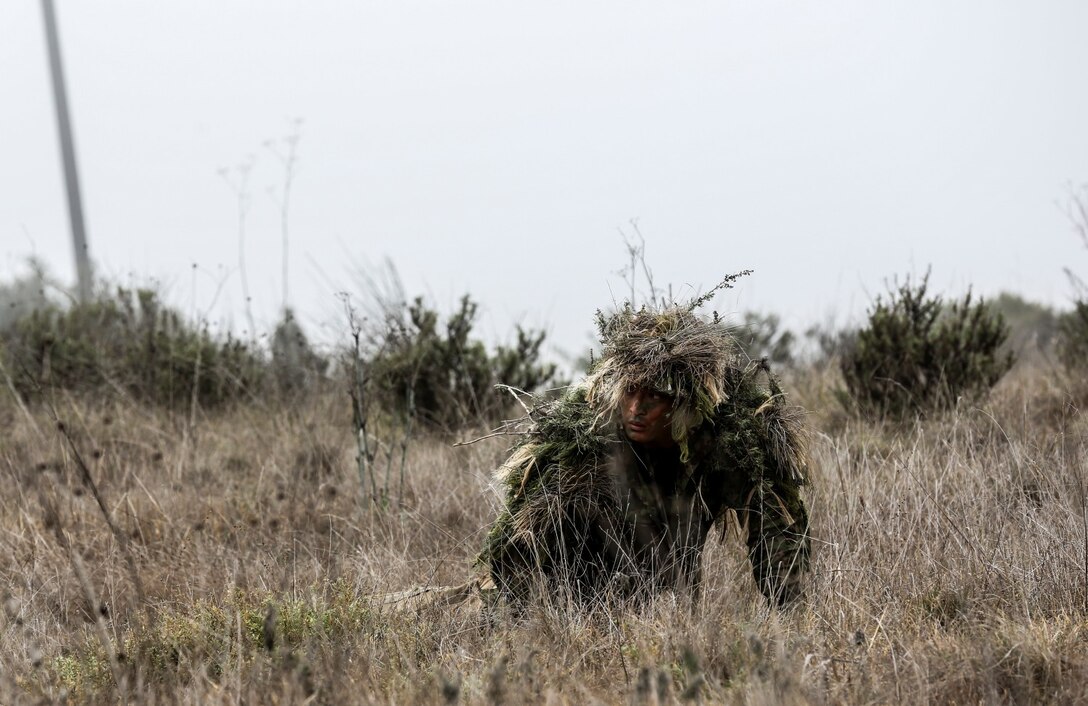 A soldier from the Japan Ground Self-Defense Force high crawls his way through vegetation while conducting a stalk exercise with 1st Marine Division Schools during Exercise Iron Fist 2014 aboard Camp Pendleton, Calif., Feb. 11, 2014. Iron Fist is an amphibious exercise that brings together Marines and sailors from the 15th Marine Expeditionary Unit, other I Marine Expeditionary Force units, and soldiers from the JGSDF, to promote military interoperability and hone individual and small-unit skills through challenging, complex and realistic training. (U.S. Marine Corps photo by Cpl. Emmanuel Ramos/Released)