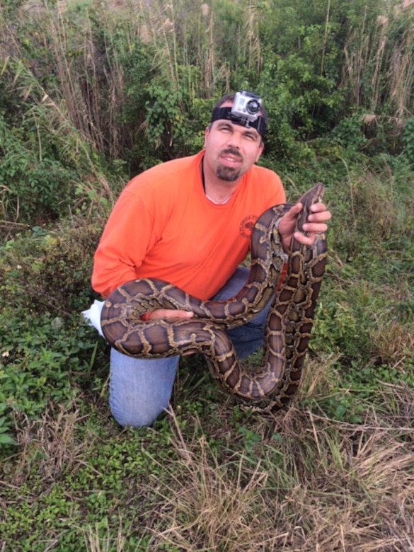 Ruben Ramirez, founder of Florida Python Hunters and winner of two prizes in the 2013 Python Challenge, shows off his latest catch to Donna Zoeller, who had just completed a site visit nearby.