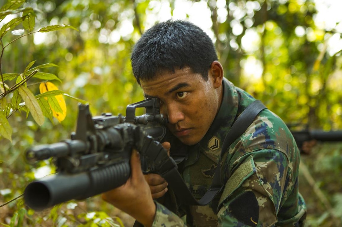 Royal Thai Marine Petty Officer 2nd Class Poramet Panpach sights in while providing security during a jungle patrolling training evolution Feb. 12 at Ban Chan Krem, Kingdom of Thailand. Royal Thai Marines and U.S. Marines are currently taking part in Exercise Cobra Gold, which is a multinational and multiservice exercise that takes place annually in the Kingdom of Thailand and was developed by the Thai and U.S. militaries. The day's training consisted of Royal Thai Marines and U.S. Marines practicing various jungle patrolling tactics, techniques and procedures. Panpach is a basic infantryman with 3rd Small Arms Company, 7th Battalion, 3rd Regiment, of the Marine Division.