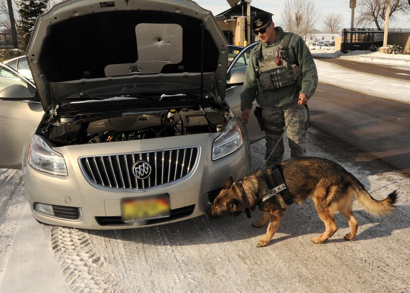 Staff Sgt. Antonio Padilla, 341st Security Forces Squadron K-9 handler, and his K-9 partner, Aslan; an explosives detective dog; conduct a random vehicle search at the main gate Feb. 10. At least one K-9 search dog and its handler are always on duty during normal operating hours. (U.S. Air Force photo/Senior Airman Cortney Paxton)