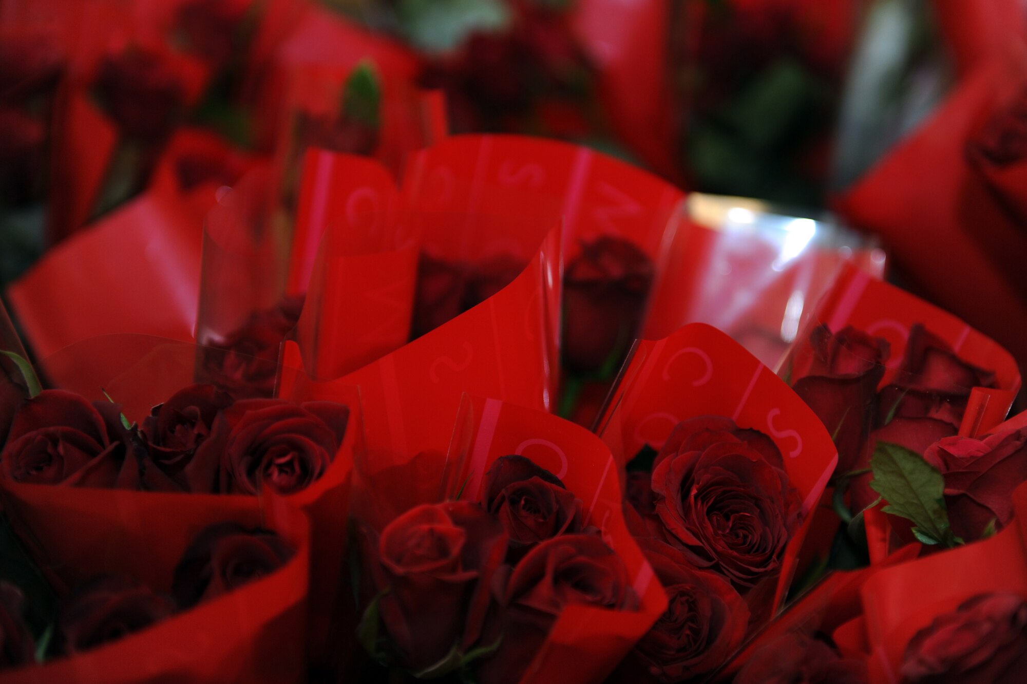 Three hundred red roses sit in boxes to be sorted and delivered on Kadena Air Base, Japan, Feb. 14, 2014.  The roses were sent as part of a gift set, along with a box of chocolates and a personalized note, to 100 recipients on five military installations around Okinawa as part of a Kadena Top Three Valentine’s Day fundraiser. (U.S. Air Force photo by Airman 1st Class Zade C. Vadnais)