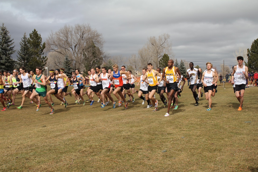 The 2014 Armed Forces Cross Country Championship has been held in conjunction with the USA Track and Field Cross Country National Championship since 2001.  
