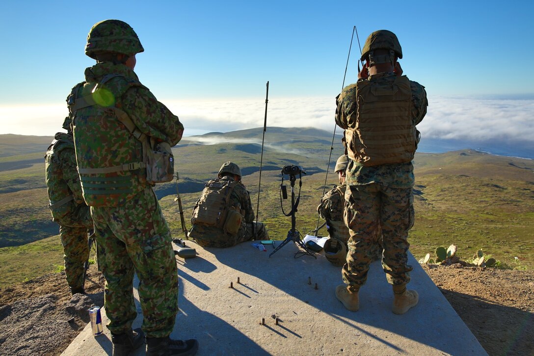 Soldiers with the Japan Ground Self-Defense Force and U.S. Marines from 1st Air Naval Gunfire Liaison Company look at their targets during Exercise Iron Fist 2014 aboard San Clemente Island, Calif., Feb. 14, 2014. Iron Fist 2014 is an amphibious exercise that brings together Marines and sailors from the 15th Marine Expeditionary Unit, other I Marine Expeditionary Force units, and soldiers from the JGSDF, to promote military interoperability and hone individual and small-unit skills through challenging, complex and realistic training. (U.S. Marine Corps photo by Lance Cpl. Anna K. Albrecht/Released)