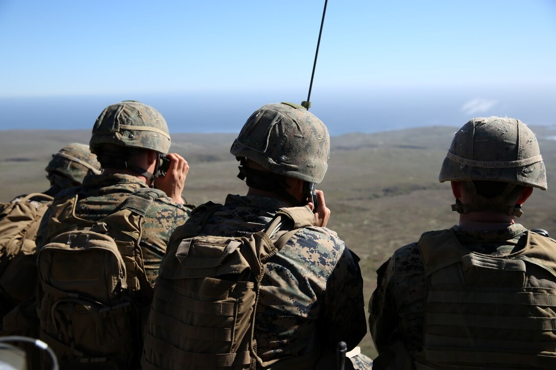 U.S. Marines from 1st Air Naval Gunfire Liaison Company call for fire while training with soldiers with the Japan Ground Self-Defense Force during Exercise Iron Fist 2014 aboard San Clemente Island, Calif., Feb. 14, 2014. Iron Fist 2014 is an amphibious exercise that brings together Marines and sailors from the 15th Marine Expeditionary Unit, other I Marine Expeditionary Force units, and soldiers from the JGSDF, to promote military interoperability and hone individual and small-unit skills through challenging, complex and realistic training. (U.S. Marine Corps photo by Lance Cpl. Anna K. Albrecht/Released)