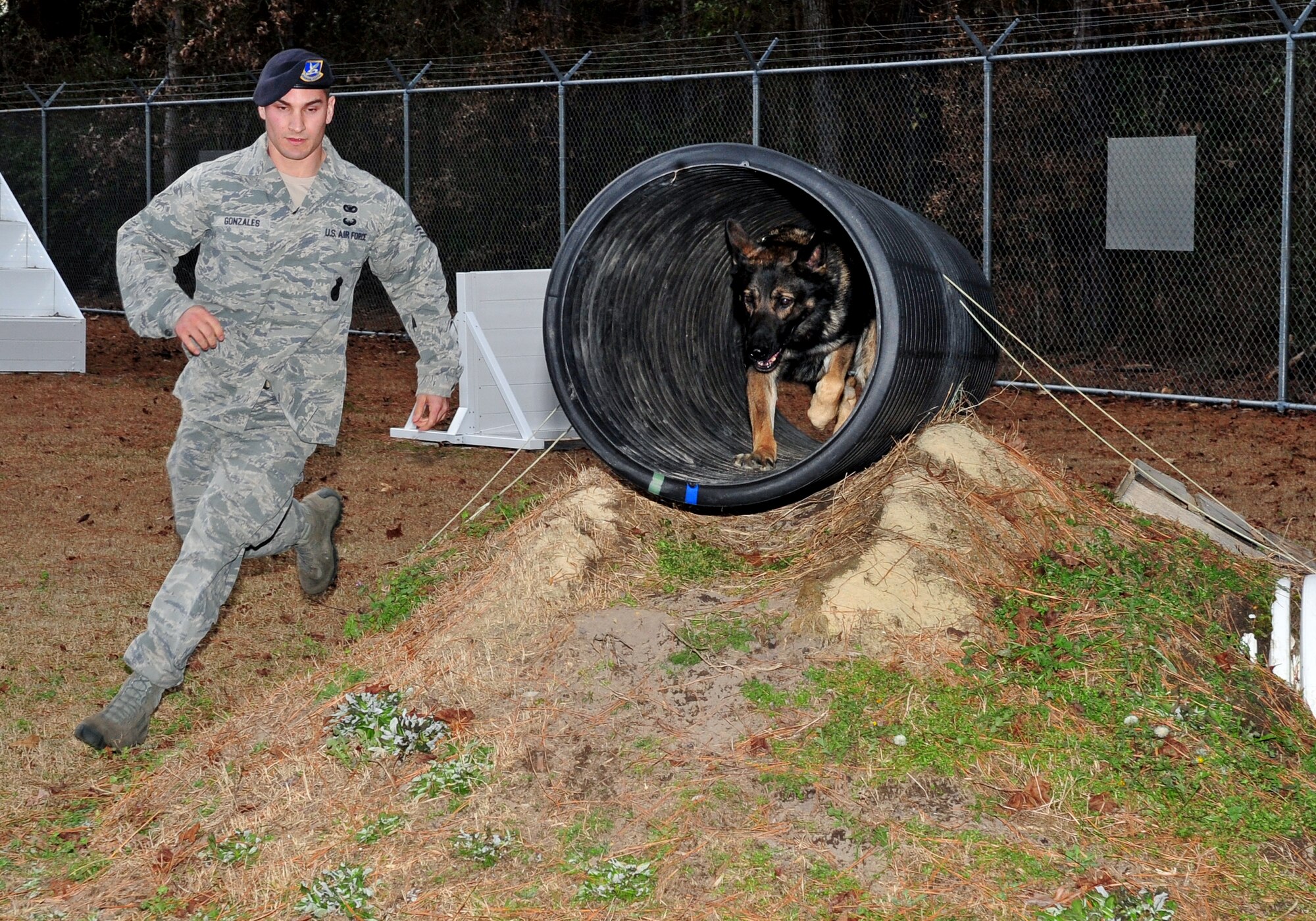Staff Sgt. Barton Gonzales, 4th Security Forces Squadron military working dog handler run Tonic, 4th SFS MWD, through a tunnel on the obedience course at Seymour Johnson Air Force Base, N.C., Jan. 9, 2014. According to Gonzales, this obstacle simulates the handler employing their dog into a tunnel which is a common hurdle faced in real world situations. (U.S. Air Force photo by Airman 1st Class Shawna Keyes)   