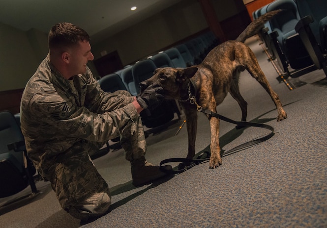 Senior Airman Timothy Rosa, 628th Security Forces Squadron military working dog handler, praises his dog, Chico, after detecting a threat Feb. 11, 2014, in the Air Base Theater at Joint Base Charleston – Air Base, S.C. The handlers and their dogs conducted routine training with the objective to detect all threats with minimal discrepancies. (U.S. Air Force photo/ Airman 1st Class Clayton Cupit)