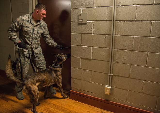 Senior Airman Timothy Rosa, 628th Security Forces Squadron military working dog handler, and his dog Chico, prepare to enter a room, Feb. 11, 2014, in the Air Base Theater at Joint Base Charleston – Air Base, S.C. The 628th SFS hosted joint detection training with the Transportation Security Administration, Boeing, the North Charleston Police Department and the Charleston County Sheriff’s Department, to build on interoperability and cohesion between the agencies. (U.S. Air Force photo/ Airman 1st Class Clayton Cupit)