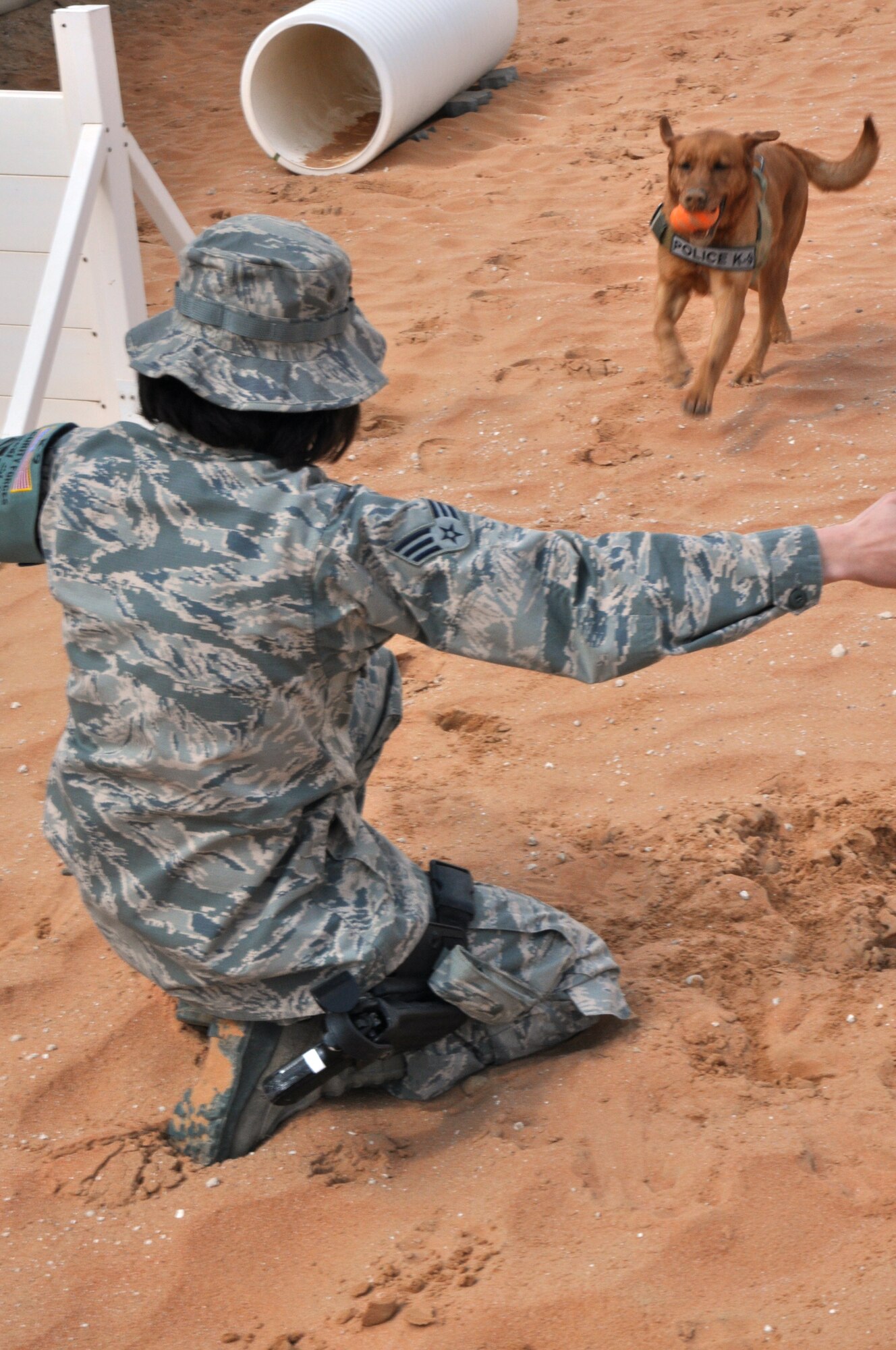 After successfully following her training commands, Military Working Dog Penny runs toward Air Force Senior Airman Samantha Baker’s arms to be rewarded with hugs and attention. Baker is a MWD handler deployed to the 380th Expeditionary Security Forces Squadron here and has been partnered with Penny for the past four months. The two are deployed here together from Peterson Air Force Base, Colo. (U.S. Air Force photo by Master Sgt. April Lapetoda/Released)