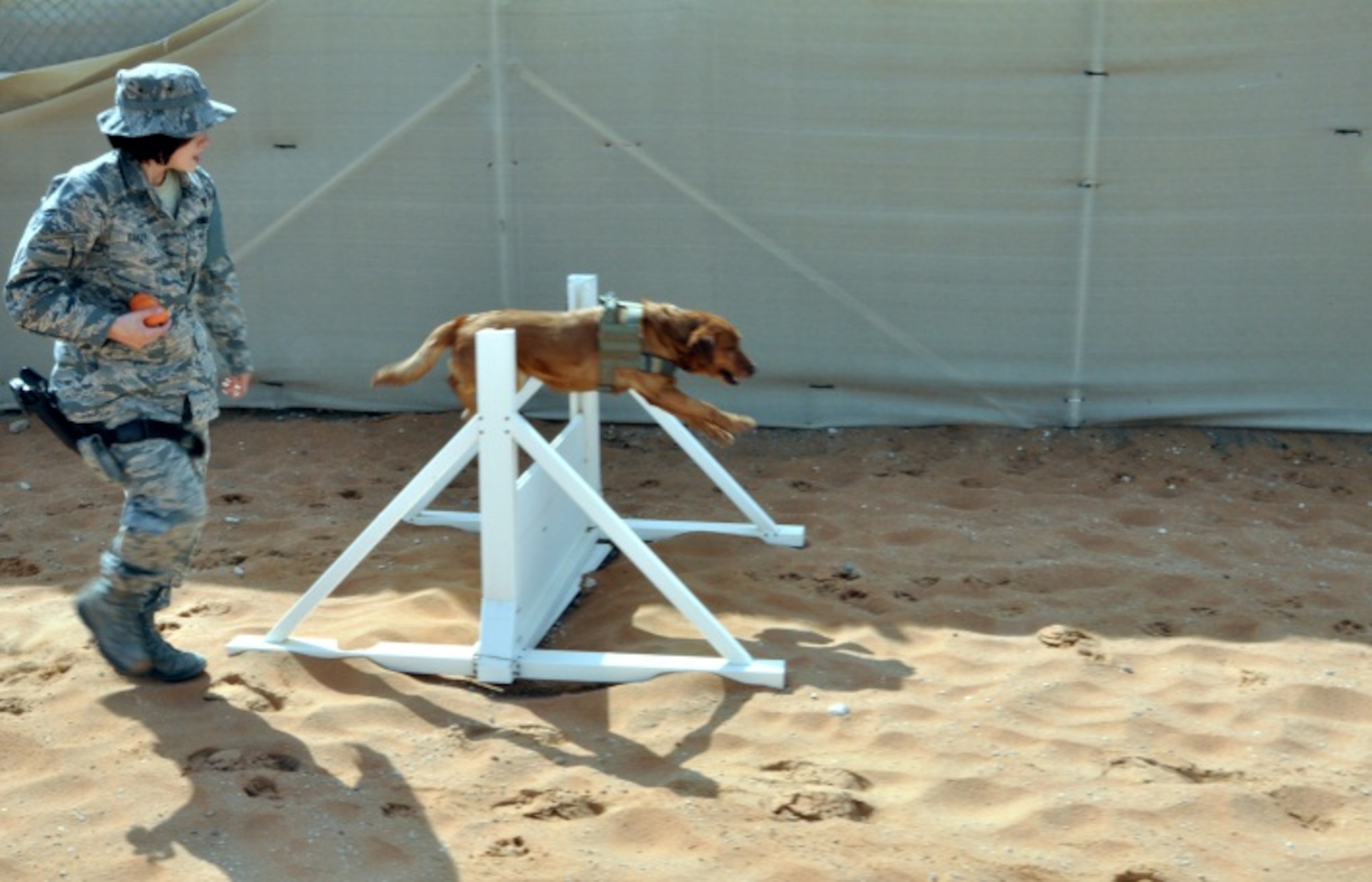 Military Working Dog Penny leaps over an obstacle in the training area here as Air Force Senior Airman Samantha Baker, a MWD handler deployed to the 380th Expeditionary Security Forces Squadron, gives her commands. (U.S. Air Force photo by Master Sgt. April Lapetoda/Released)