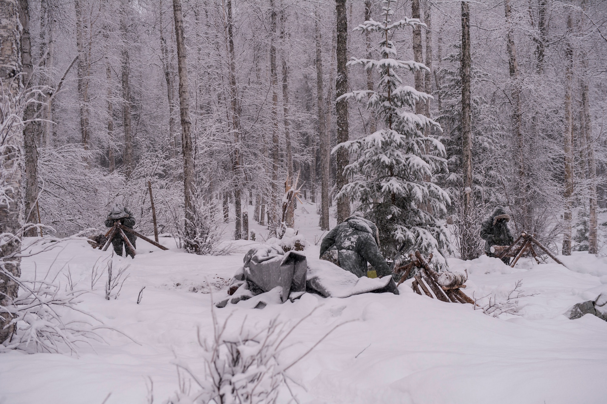 U.S. Air Force and U.S. Coast Guard service members build thermalized A-frame shelters during Artic Survival School training Feb. 6, 2014, Eielson Air Force Base, Alaska. Constructing a shelter was one of the many skills taught during “Cool School.” (U.S. Air Force photo by Senior Airman Joshua Turner/Released)