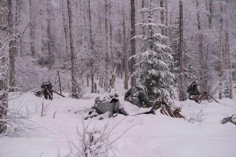 U.S. Air Force and U.S. Coast Guard service members build thermalized A-frame shelters during Artic Survival School training Feb. 6, 2014, Eielson Air Force Base, Alaska. Constructing a shelter was one of the many skills taught during “Cool School.” (U.S. Air Force photo by Senior Airman Joshua Turner/Released)