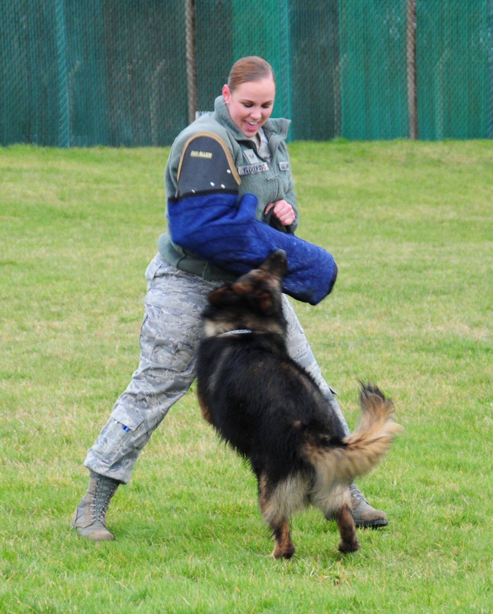 U.S. Air Force Senior Airman Candace Goldfuss, 100th Security Forces Squadron Military Working Dog handler from Coeur D'Alene, Idaho, wears a bite sleeve during a training session Feb. 14, 2014, as MWD Gandi "attacks" her on RAF Mildenhall, England. Goldfuss recently arrived from technical school to be an MWD handler here. Handlers train on a regular basis to keep both their skills, and those of their dogs, proficient and up to date. (U.S. Air Force photo by Karen Abeyasekere/Released)