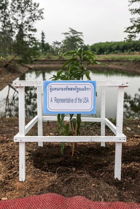 A tree is planted as a sign of appreciation from locals at the Wat Kun Song school dedication ceremony during Exercise Cobra Gold in Chanthaburi Province, Kingdom of Thailand, Feb. 20. Cobra Gold, in its 33rd iteration, demonstrates the U.S. and the Kingdom of Thailand's commitment to our long-standing alliance and regional partnership, prosperity and security in the Asia-Pacific region. The building of the school is a combined effort between the Kingdom of Thailand, U.S., and Republic of Korea.