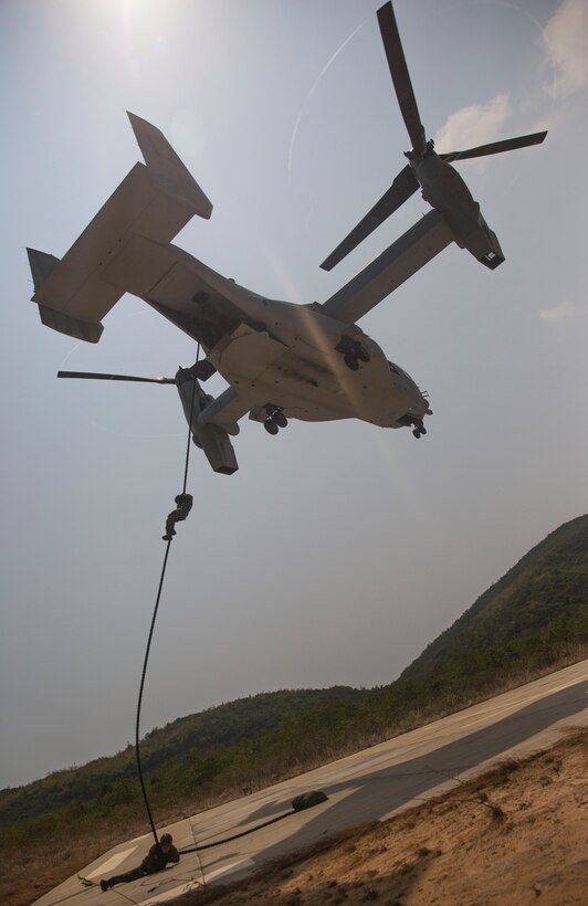 Royal Thai Marines work together to fast-rope from an MV-22B Osprey at Hat Yao, Kingdom of Thailand Feb. 18 during Exercise Cobra Gold 2014. Cobra Gold, in its 33rd iteration, is designed to advance regional security and ensure effective response to regional crises by exercising a robust multinational force from nations sharing common goals and security commitments in the Asia-Pacific region. The Royal Thai Marines are with Reconnaissance Battalion, Royal Thai Marine Corps. The U.S. Marines are with 3rd Reconnaissance Battalion, 3rd Marine Division, III Marine Expeditionary Force. 