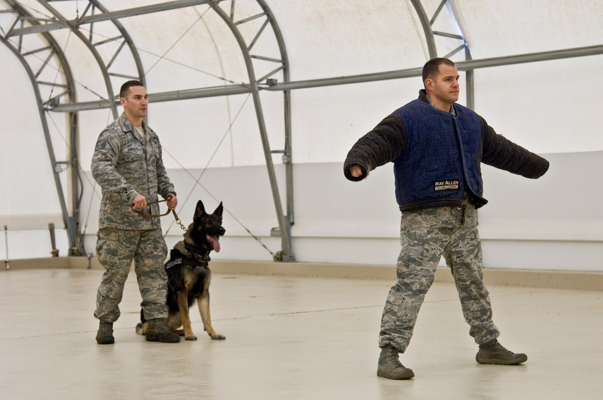 Staff Sgt. Barton Gonzales, 4th Security Forces Squadron military working dog (MWD) handler, and Tonic, 4th SFS MWD, prepare to conduct a search during the annual Wayne County Woof Fest, Feb. 15, 2014, in Dudley, N.C.  Woof Fest is a yearly event for patrons to celebrate their love for dogs.  The team of handlers and dogs showcased the six phases of aggression training during the public event.   (U.S. Air Force by Airman 1st Class Brittain Crolley)