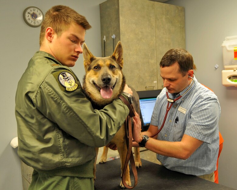AAHA recertifies veterinary clinic > Barksdale Air Force ...