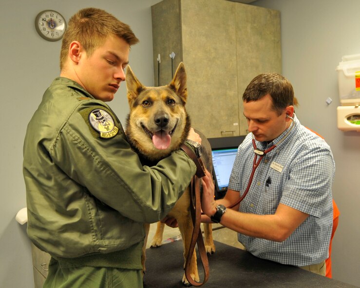 2nd Lt. Caleb Lyons, 11th Bomb Squadron navigator, brings his German shepherd, Colt, to Dr. Darrin Olson, veterinarian, who checks the dog's vital signs on Barksdale Air Force Base, Feb. 10, 2014. The vet clinic's primary mission is to support the health and well-being of 2nd Security Forces Squadron military working dogs, but the clinic also provides pet owners routine vaccinations, heartworm tests, and preventives for fleas and ticks. (U.S. Air Force photo/Airman 1st Class Benjamin Raughton)