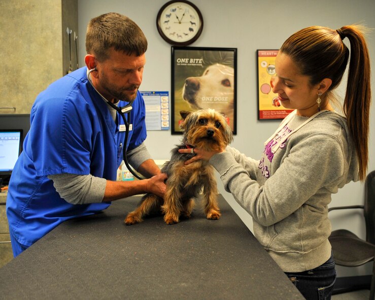 Mike Bridges, animal health technician, checks the heart rate and vital signs of Taz, Jackeline Rivera's Yorkshire terrier on Barksdale Air Force Base, Feb. 10, 2014. The vet clinic's primary mission is to support the health and well-being of 2nd Security Forces Squadron military working dogs, but the clinic also provides pet owners routine vaccinations, heartworm tests, and preventives for fleas and ticks. (U.S. Air Force photo/Airman 1st Class Benjamin Raughton)