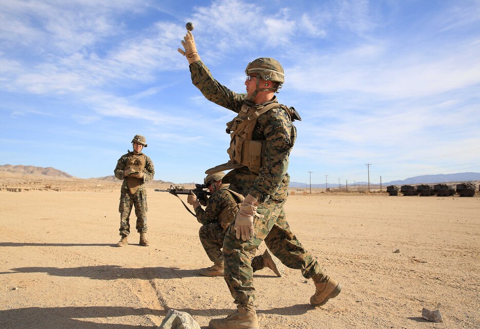 Marines with Company E, 2nd Battalion, 7th Marine Regiment conduct a live-fire exercise utilizing M16A4 service rifles and hand grenades aboard Range 701 as part of a company squad competition aboard the Combat Center Feb. 12, 2014. The competition included live-fire in addition to physical endurance as a test of the Marines’ operational capability.