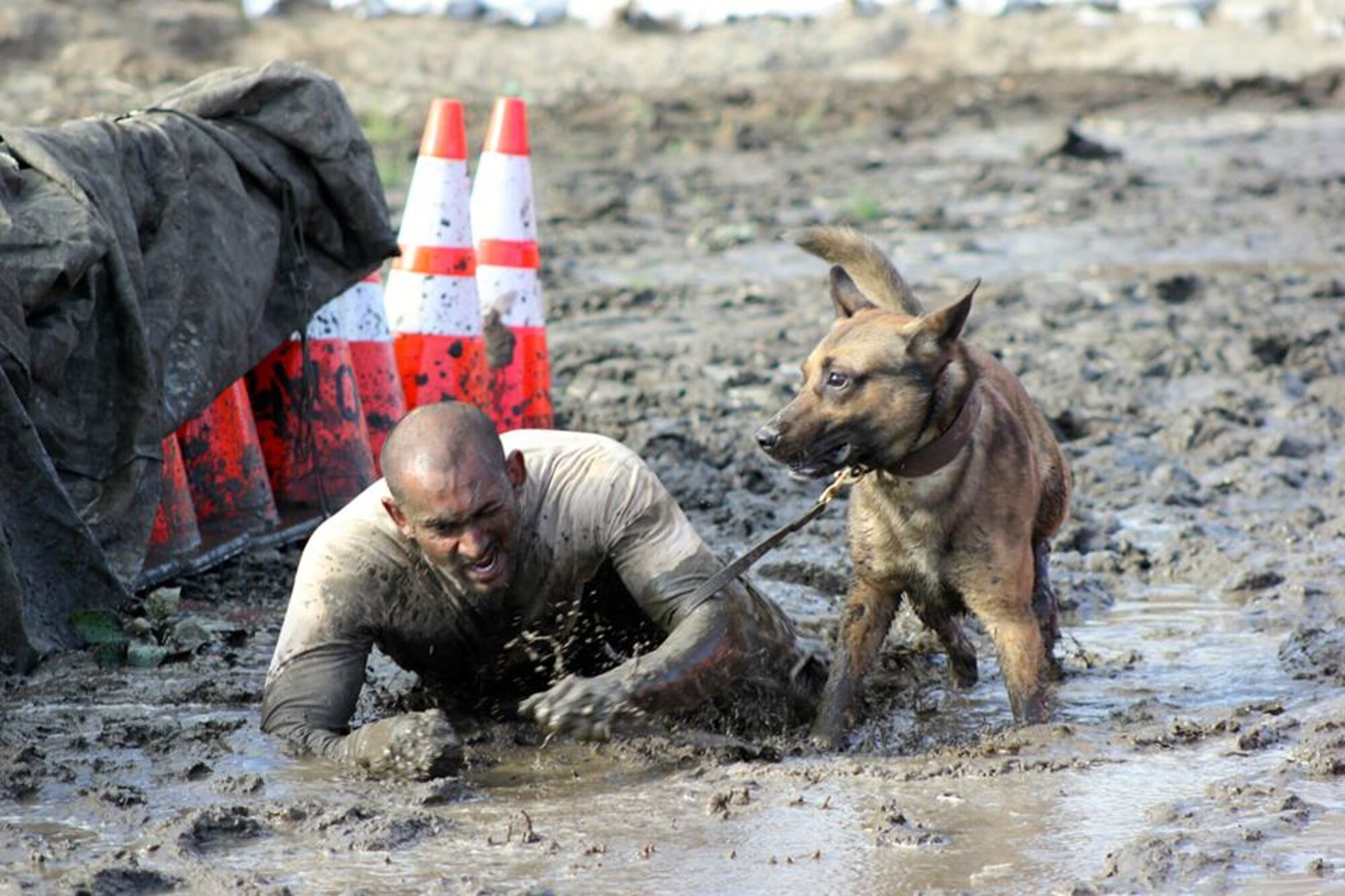 Staff Sgt. Zahir Mohammed, 60th Security Forces Squadron K9 handler, and Borat run the endurance portion of the Iron Dog III MWD Team Competition at Marine Corps Base Camp Pendleton. (courtesy photo/Tech. Sgt. Chris Smith)