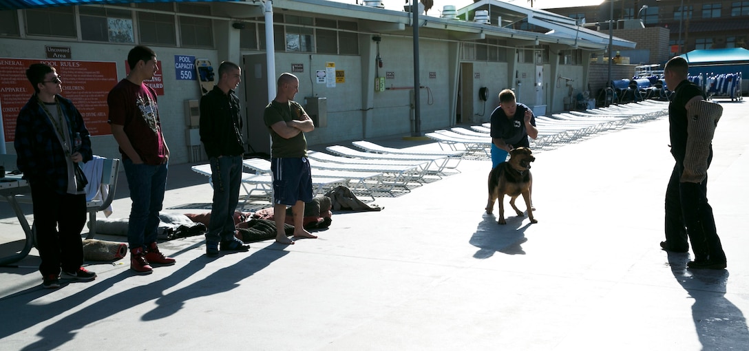 Three students from high schools within the Morongo Unified School District watch a K9 demonstration at the Combat Center training tank during the 11th Annual Job Shadowing Event, Feb. 19, 2014. The three students expressed interest in law enforcement as a career, and learned about K9 training. (Official Marine Corps Photo By Lance Cpl. Kasey Peacock/Released)


