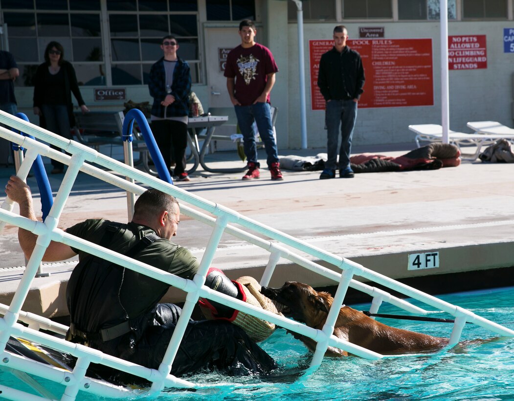Staff Sgt. Charles Hardesty, kennel master, Provost Marshal's Office, demonstrates K9 training for three students from high schools within the Morongo Unified School District during the 11th Annual Job Shadowing Event, Feb. 19, 2014. The students had the opportunity to choose from a variety of occupational specialties including: mechanics, artillery, food services, medical, interior design, aircraft maintenance, photography, journalism, K9 handling, welding and more. (Official Marine Corps Photo By Lance Cpl. Kasey Peacock/Released)


