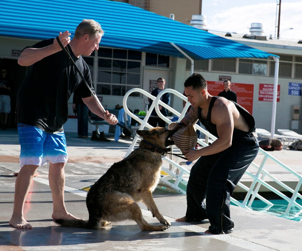 Cpl. Pham Nguyen, military working dog handler, Provost Marshal's Office, prepares to conduct K9 water training during the 11th Annual Job Shadowing Event at the Combat Center training tank, Feb. 19, 2014. High school students from within the Morongo Unified School District visited the Combat Center for the Job Shadowing event to better prepare them for their future careers. (Official Marine Corps Photo By Lance Cpl. Kasey Peacock/Released)


