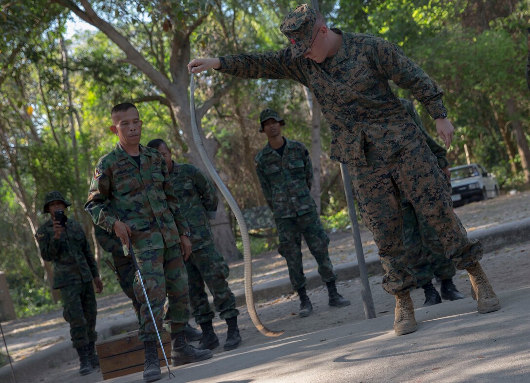 Royal Thai, Republic of Korea and U.S. Marines work together to tame a cobra during jungle survival training for Exercise Cobra Gold 2014 at Camp Latowin, Kingdom of Thailand Feb. 11. Working together, they conduct joint and multinational training that is vital to maintaining the readiness and interoperability of the participating military forces. (U.S. Marine Corps photo by Cpl. Zachary Scanlon/Released) 