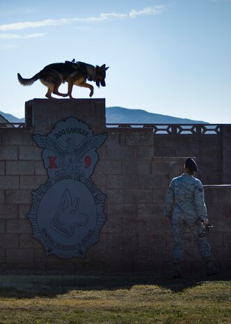 U.S. Air Force Staff Sgt. Bobbie Ohm, 99th Security Forces Squadron military working dog handler, conducts a demonstration course with Habo, 99th SFS military working dog, during a Junior Reserve Officer Training Corps visit Feb. 21, 2014, at Nellis Air Force Base, Nev. MWDs are trained to obey only their handlers that control them to avoid confusion. (U.S. Air Force photo by Senior Airman Jason Couillard)