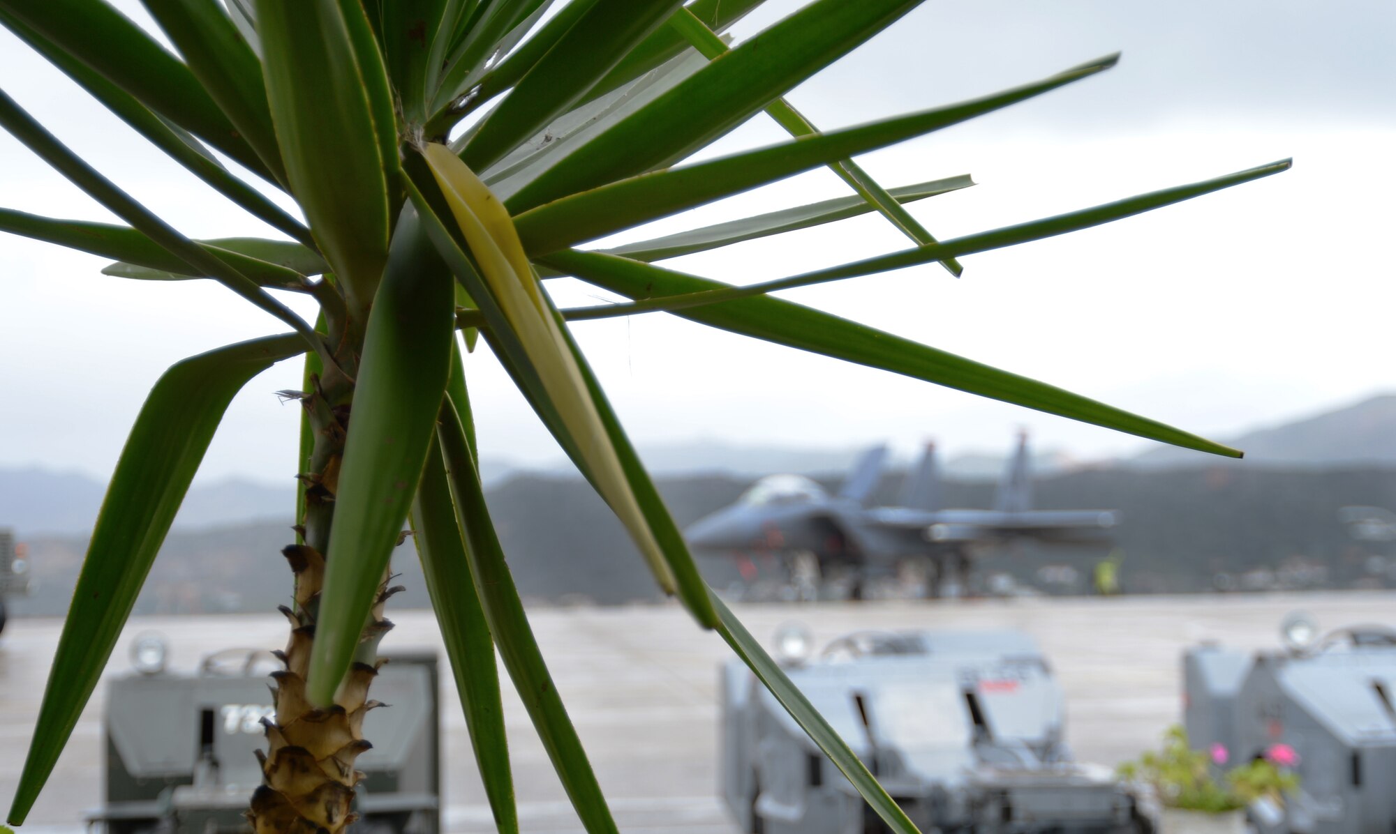 A Strike Eagle fighter aircraft deployed to the 494th Expeditionary Fighter Squadron at Souda Bay, Greece, sits ready for launch in support of a U.S. Air Forces in Europe flying training deployment on the island of Crete Feb. 24, 2014. The 494th EFS' F-15E aircraft were deployed by the 48th Fighter Wing at Royal Air Force Lakenheath, England, to train with the Hellenic Air Force to strengthen military-to-military relationships and increase NATO interoperability. The scenarios conducted involved notional, simulated events, as well as combined flying operations between the countries. (U.S. Air Force photo by Staff Sgt. Thomas Trower/Released)