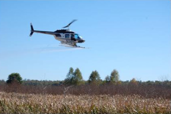A helicopter sprays ERDC's herbicide mixture to combat floating mats of invasive vegetation. The herbicide application covered 250 acres of the popular duck hunting grounds located in Des Ourses Swamp and Sherburne Wildlife Management are. The treatment will improve waterfowl habitat, increase hunters access to the swamp and open boat lanes as plants die and floating mats fall apart. 