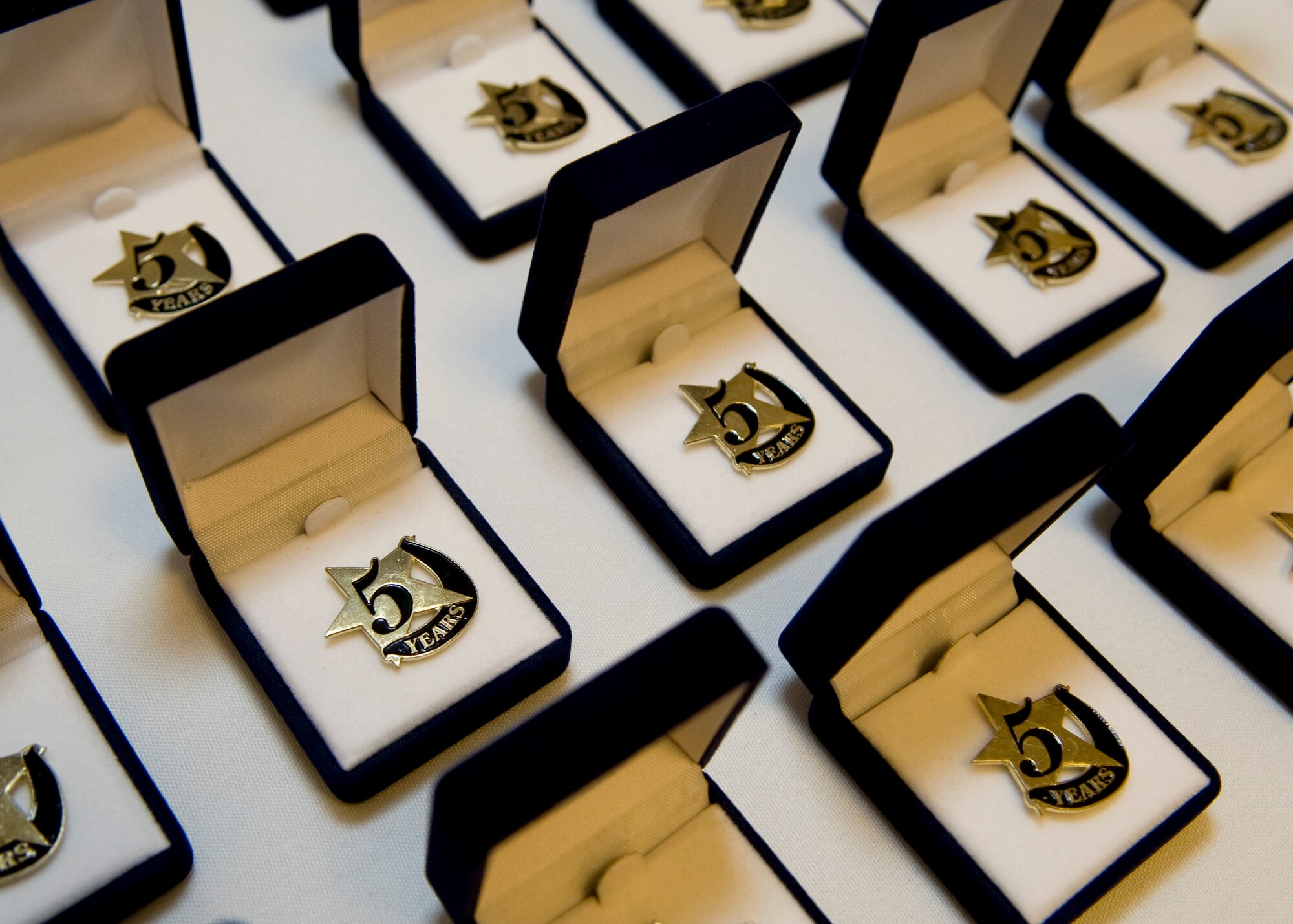 Five year commemorative pins sit on display before a five year recognition event Feb. 19, 2014, at the Delaware Veterans Home (DVH) in Milford, Del. The event was to honor those residents who have called the DVH their home for five-plus years. (U.S. Air Force photo/Airman 1st Class Zachary Cacicia