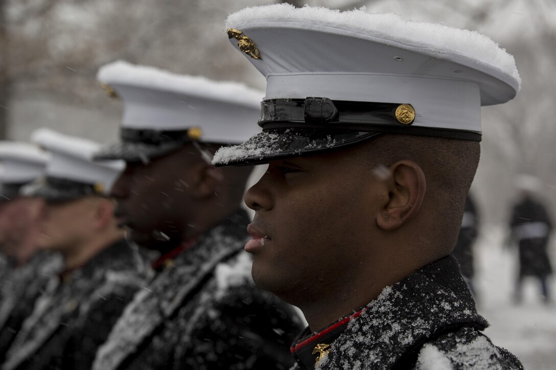Marines from Marine Barracks Washington, D.C., stand in formation after the funeral of retired Marine Brig. Gen. Vincente T. Blaz at Arlington National Cemetery, Feb. 25, 2014. Blaz retired from the Corps in 1980 and went on to serve as Guam's non-voting delegate in the U.S. House of Representatives. (Official Marine Corps photo by Cpl. Dan Hosack/Released)