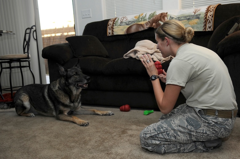 U.S. Air Force Staff Sgt. Alexandra Springman, 355th Security Forces Squadron military working dog handler, plays with Dexter, a retired MWD, in Tucson, Ariz., Feb. 25, 2014. Springman was Dexter's last handler before he retired on Feb. 19, 2014. (U.S. Air Force photo by Airman 1st Class Betty R. Chevalier/Released)