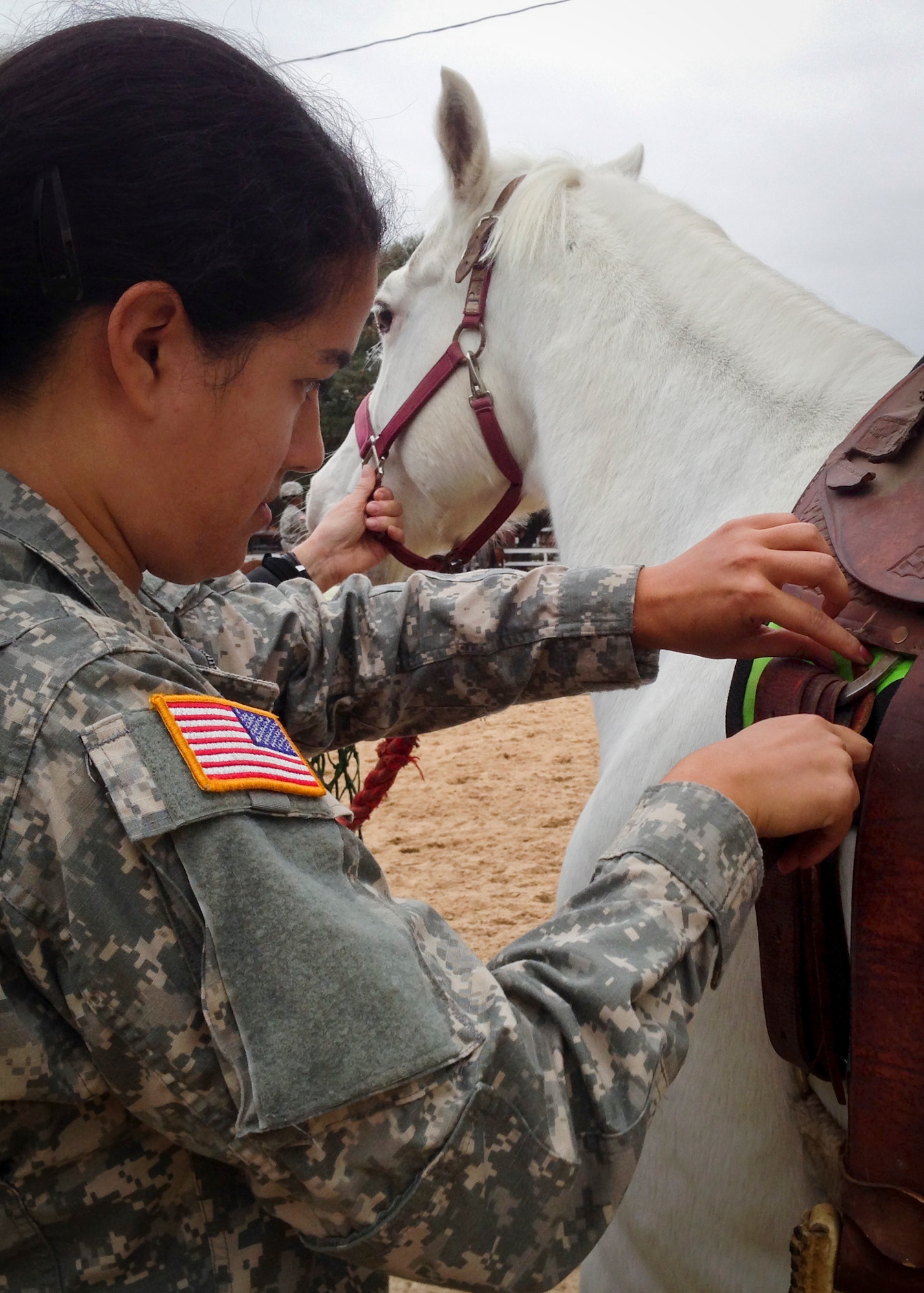 A Soldier adjusts the Saddle on her horse Abby during a training session in late 2013 at Eglin Air Force Base, Fla.  Eglin’s Sand and Spur Riding Club providing training on how to saddle, pack and ride horses to EOD Army officers as proactive exercise in case they were ever required to do so during a deployment.  (Courtesy photo)