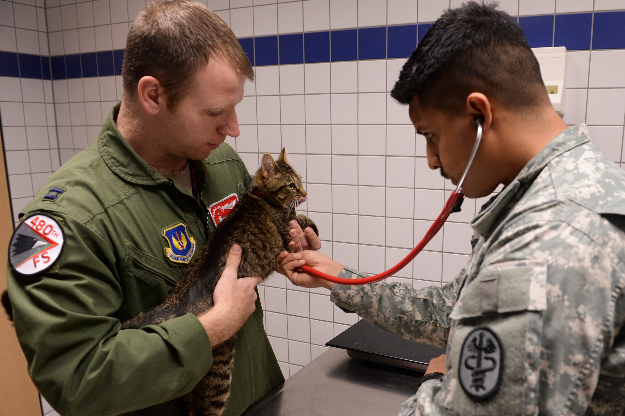 U.S. Army Sgt. David Juarez, a Public Health Command District Northern Europe animal care specialist check vitals on a cat named Misty owned by Capt. Kyle Davis, a 480th Fighter Squadron pilot from Columbus, Ohio, prior to a vaccination at the veterinarian clinic Feb. 25, 2014, at Spangdahlem Air Base, Germany. Vaccinations are among the many medical services the clinic offers. (U.S. Air Force photo by Senior Airman Rusty Frank/Released)