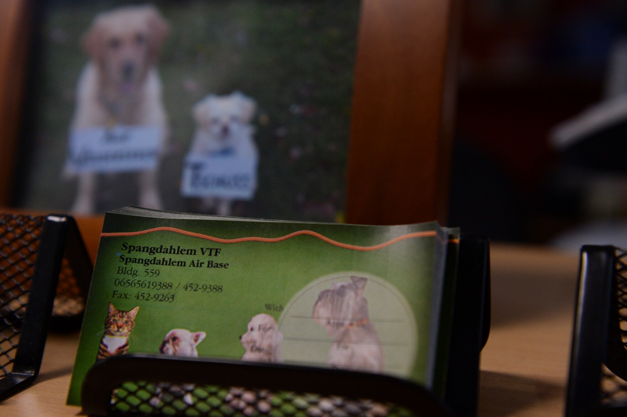 Business cards are displayed at the front desk of the veterinarian clinic Feb. 25, 2014, at Spangdahlem Air Base, Germany. The clinic only cares for dogs and cats, and treats more than 20 furry patients a day. (U.S. Air Force photo by Senior Airman Rusty Frank/Released)