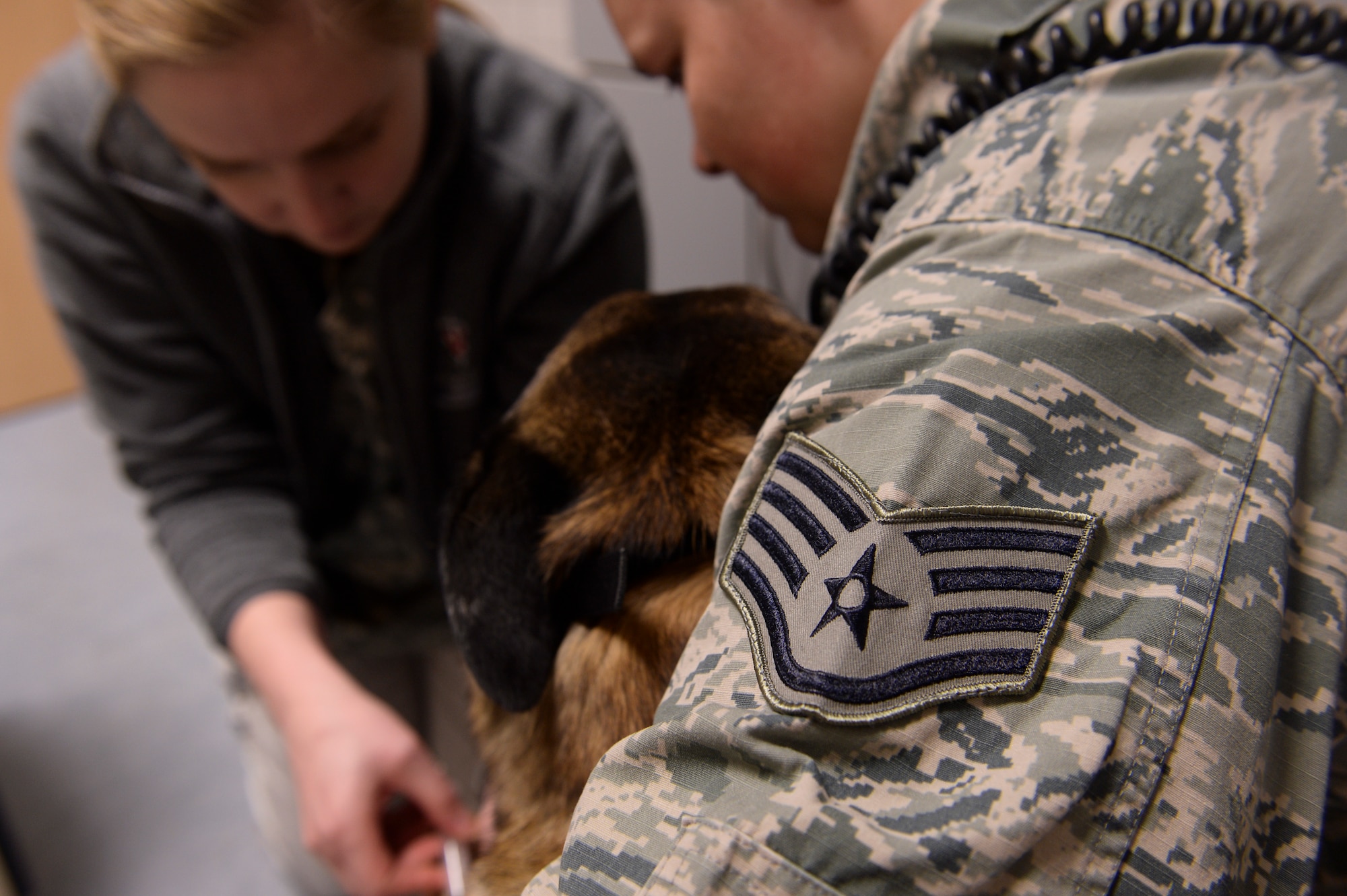 U.S. Air Force Staff Sgt. Ashlynd Flowers, a 52nd Security Forces Squadron military working dog handler from Brighton, Ill., holds Joyce, her MWD, for a blood draw at the veterinarian clinic Feb. 25, 2014, at Spangdahlem Air Base, Germany. The clinic tests all the blood drawn from the animals on site. (U.S. Air Force photo by Senior Airman Rusty Frank/Released)