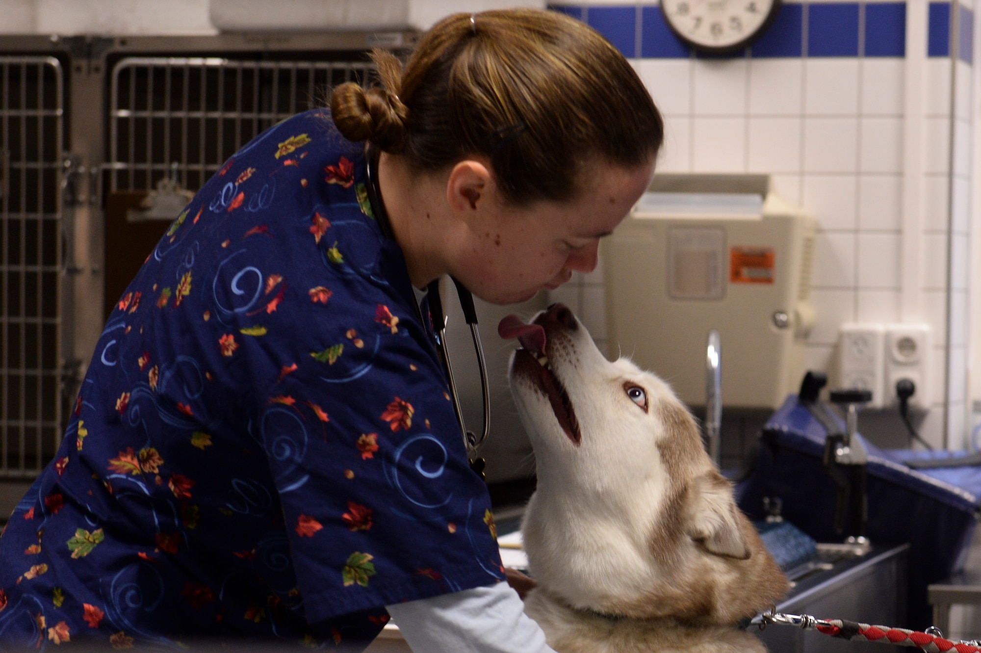 U.S. Army Capt. Alicia Gehling, a Public Health Command District Northern Europe veterinarian from Portland, Ore., interacts with her patient Nov. 15, 2013, at Spangdahlem Air Base, Germany. The clinic provides services to only cats and dogs. (U.S. Air Force photo by Senior Airman Rusty Frank/Released)