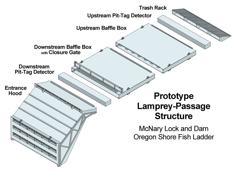 U.S. Army Corps of Engineers structural and design engineers developed a prototype lamprey-passage structure that fits into the entrance of McNary Dam’s Oregon shore fish ladder. The structure was installed Feb. 11-25 to provide a less-stressful passage route for migrating lampreys.