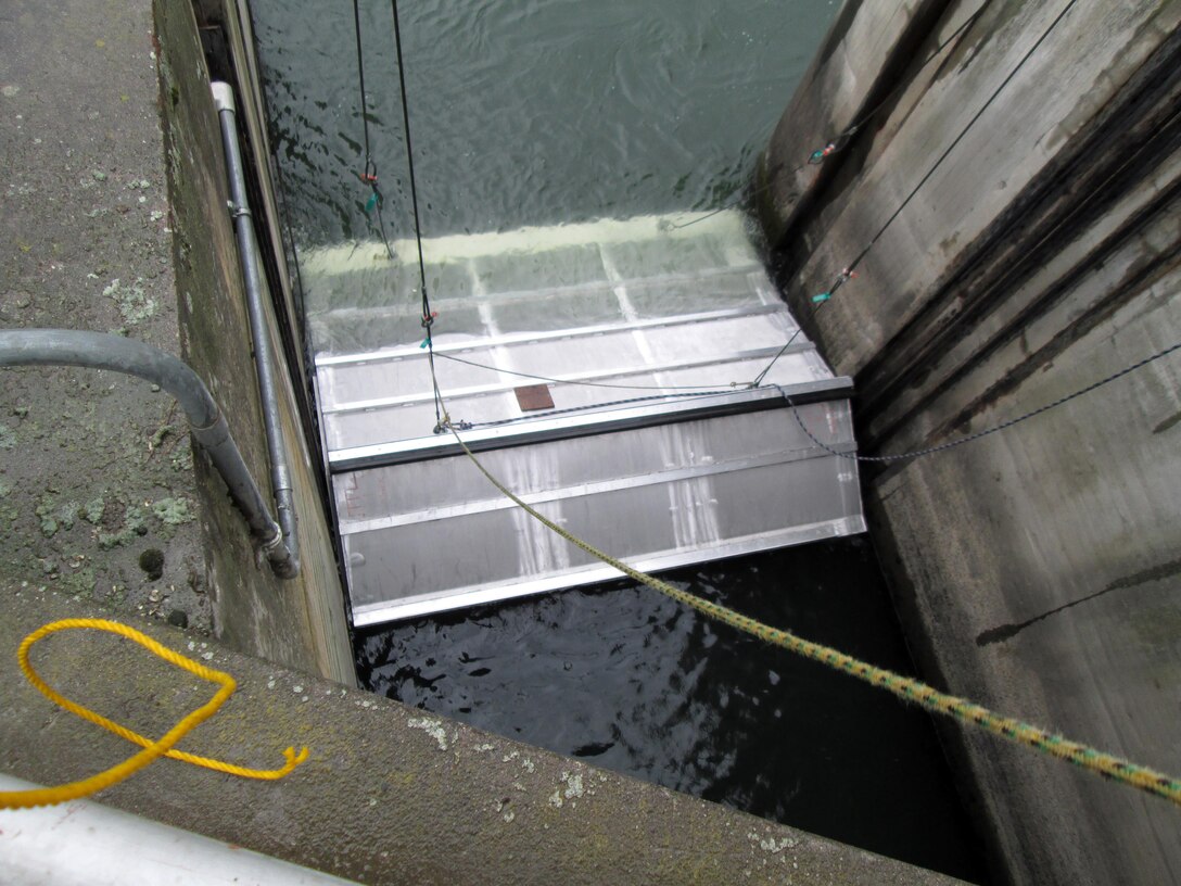 The entrance hood of McNary Lock and Dam’s prototype lamprey-passage structure fits perfectly into place at the front of the Oregon shore fish ladder. 
