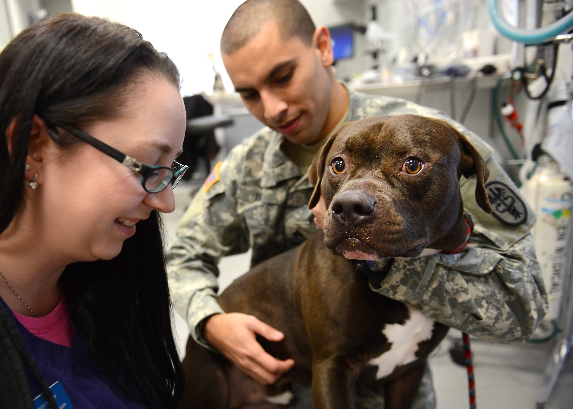 (From left) Ashley Savino, Veterinary Treatment Facility animal care technician and U.S. Army Sgt. Jose Leon, 31st Force Support Squadron VTF animal care specialist, conduct a routine checkup on Bronson, Feb. 26, 2014, at Aviano Air Base, Italy. The clinic staff spends the majority of its time servicing the pets of base families with everything from vaccinations and microchip insertion to physical exams, dental exams and sick calls. (U.S. Air Force photo/ Airman 1st Class Ryan Conroy) 