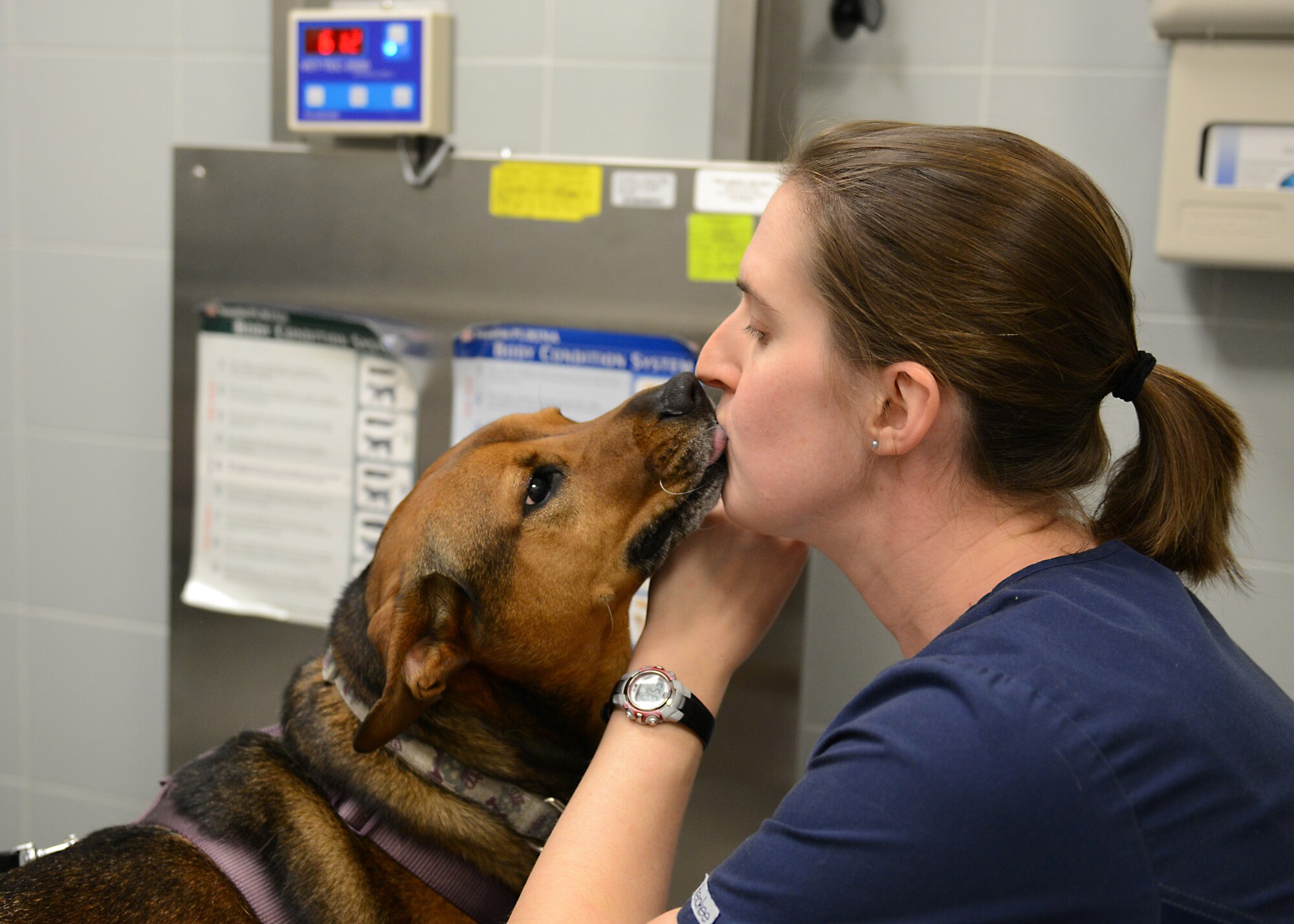 Robin Minette, Veterinary Treatment Facility animal care technician, gets a kiss from a patient during a routine checkup, Feb. 26, 2014, at Aviano Air Base, Italy.  The veterinary clinic staff includes a military veterinary technician, licensed civilian veterinary technician, three animal technicians, two operations assistants and a receptionist. (U.S. Air Force photo/Airman 1st Class Ryan Conroy) 