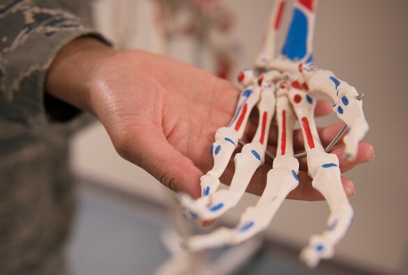 U.S. Air Force Master Sgt. Tracey McLendon, 23d Medical Support Squadron diagnostic imaging flight chief, holds a skeletal hand model at the clinic on Moody Air Force Base, Ga., Feb. 25, 2014. Members of the 23d MDSS radiology clinic use dummies for training purposes. (U.S. Air Force photo by Senior Airman Tiffany M. Grigg/Released) 