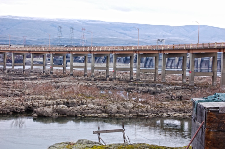 The U.S. Army Corps of Engineers will close all but the southwestern most extent of the Lone Pine Islands, located directly downstream of The Dalles Lock and Dam, to public access.